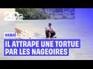 Un touriste attrape une tortue par les nageoires