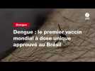 VIDEO. Dengue : le premier vaccin mondial à dose unique approuvé au Brésil