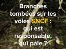 Branchages sur les lignes SNCF qui paie qui est responsable