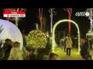 VIDÉO. À Pont-l'Éveque, découvrez les premières images des illuminations du jardin enchanté de Noël
