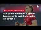 VIDÉO. Pays de Galles - Afrique du Sud : sur quelle chaîne et à quelle heure voir le match de rugby en direct ?