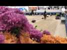 VIDÉO. Le 40e Grand national de dressage a débuté au Pôle hippique de Saint-Lô