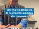 « Souvent, c'est leur seul copain » : à Dijon, ces vétérinaires bénévoles soignent les animaux des marginaux