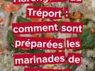 Harengade du Tréport : comment sont préparées les marinades de poisson?