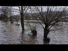 Überschwemmungen in Hotton (Januar 2025)