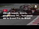 VIDÉO. F1. Circuit, enjeux, favoris, programme TV... Tout savoir sur le Grand Prix du Brésil