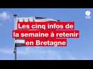 VIDÉO. Tourisme, tirs, chiots... Cinq infos à retenir cette semaine en Bretagne