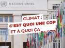 Climat : c'est quoi une COP et à quoi ça sert?