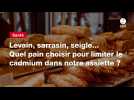 VIDEO. Levain, sarrasin, seigle... Quel pain choisir pour limiter le cadmium dans notre assiette ?
