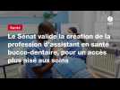 VIDEO. Le Sénat valide la création de la profession d'assistant en santé bucco-dentaire, pour un accès plus aisé aux soins