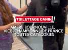Ambre Bournouville revient des championnats de France de toilettage canin avec un titre