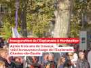Inauguration de l'esplanade Charles-de-Gaulle à Montpellier