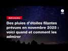 VIDEO. Des pluies d'étoiles filantes prévues en novembre 2025 : voici quand et comment les admirer