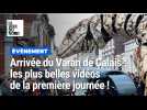 Arrivée du Varan de Calais : le résumé de la première journée en vidéo !