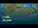 L'info du jour | 4 novembre 2025 - Soir