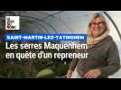Ventes des serres Maquenhem à Saint Martin lez Tatinghem