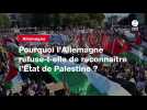 VIDEO. Pourquoi l'Allemagne refuse-t-elle de reconnaître l'État de Palestine ?