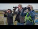 The Grand Tour 2016