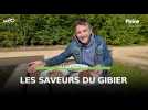 Pleine Nature - Les saveurs du gibier
