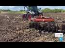La détresse des agriculteurs aux Antilles