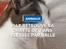 Elle retrouve sa chatte blessée par balle