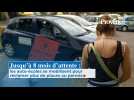 Jusqu'à 8 mois d'attente : les auto-écoles se mobilisent pour réclamer plus de places au permis