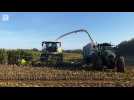 « L'accomplissement de six mois de boulot» : au coeur d'un chantier d'ensilage de maïs à Plougonven