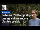 Étaples : la ferme d'Hilbert pratique une agriculture encore plus bio que bio
