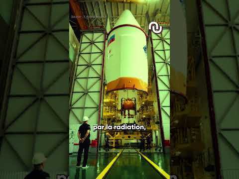 75 souris et 1500 mouches dans une capsule spatiale ! #shorts
