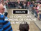 Record battu au concours mondial de craché de noisettes à Lavelanet