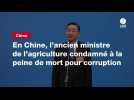 VIDEO. En Chine, l'ancien ministre de l'agriculture condamné à la peine de mort pour corruption
