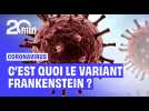 Doit-on s'inquiéter de « Frankenstein », le nouveau variant du Covid-19 ?