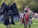 Lillers : la fête du cheval a réuni du monde au parc du Brûle