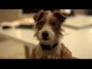 Beginners (Bande Annonce)