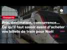 VIDEO. Prix, destination, concurrence... Ce qu'il faut savoir avant d'acheter vos billets de train pour Noël