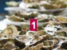 Que faire ce week-end du 3 au 5 octobre dans le Dunkerquois ?