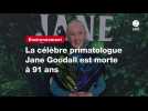VIDEO. La célèbre primatologue Jane Goodall est morte à 91 ans