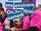 Samedi 4 et dimanche 5 octobre 2025 : on fait quoi à Fécamp et dans ses environs ?