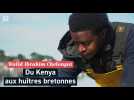 « Même sous la pluie et le vent, tu te sens vivant » : Walid, du Kenya aux huîtres bretonnes