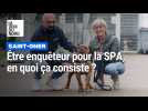 Être enquêteur pour la SPA, en quoi ça consiste ?