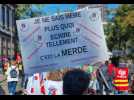Entre 800 et 1500 manifestants à Mulhouse
