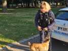 Sotteville-lès-Rouen. Un chien dans les rangs de la police municipale