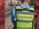 une campagne betteravière sous surveillance