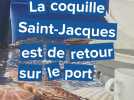 La coquille Saint-Jacques est de retour sur le port de Dieppe