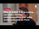 VIDEO. Plus de 6 000 ¬ de pressing... Les notes de frais embarrassantes d'un autre maire socialiste de Paris
