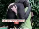 Environnement - Jane Goodall, la discrète révolutionnaire dont les recherches sur les chimpanzés ont redéfini notre conception de l'humanité