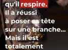 Faits divers - 