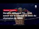 VIDÉO. Parnasse - Petitjean. Horaire, diffusion TV... Tout savoir sur le combat de boxe du champion de MMA