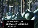 Le Chat de Geluck s'installe à Lyon pour cinq mois