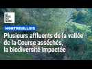 Cours d'eau asséchés dans la vallée de la Course : la biodiversité impactée